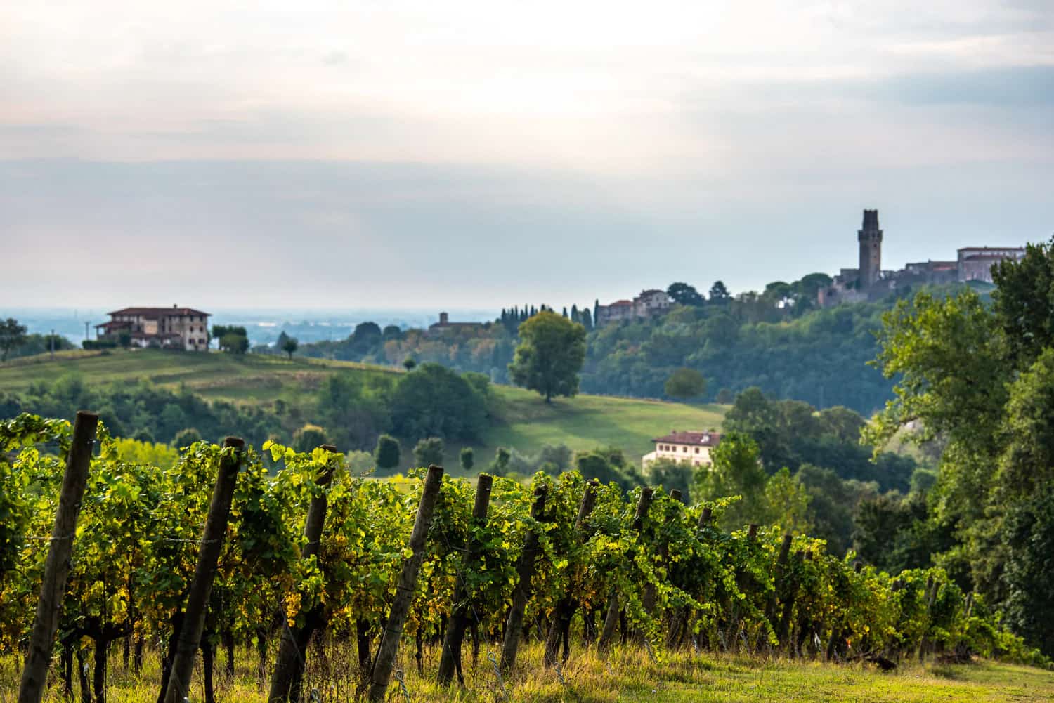 Vineyards and a hilltop village in the Prosecco hills at golden hour